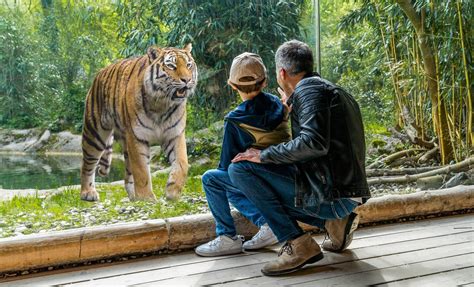 Bussolengo | Lake Garda Veneto