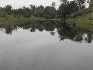 Biodiversity, Ecology, Energy, Landscape Dynamics & Hydrology of ...
