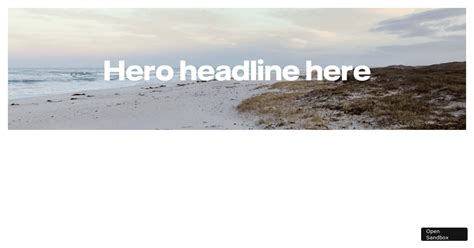 Image result for Code Sand Box for JavaScript