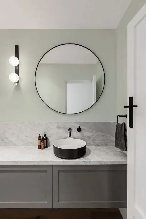 Benjamin Moore Pearl Gray 863: 30 real home pictures