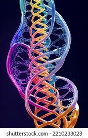 DNA 的图像结果