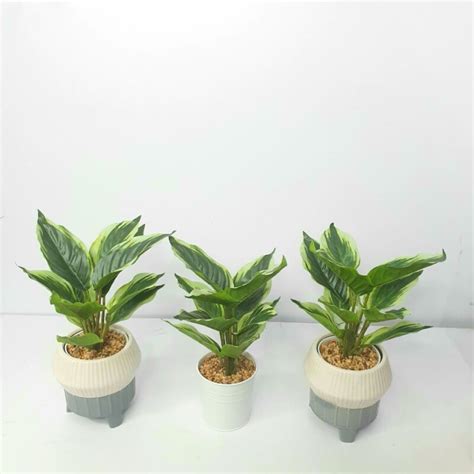 Artificial Plant A1 2405 - Buildhub