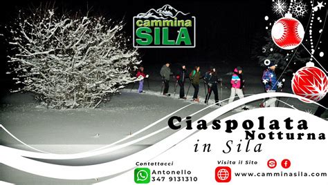 Venerdì 03 Gennaio Ciaspolata Notturna in Sila, Uscita SS107 Silvana ...