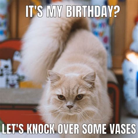 Happy Birthday Meme Funny at Roger Daniels blog