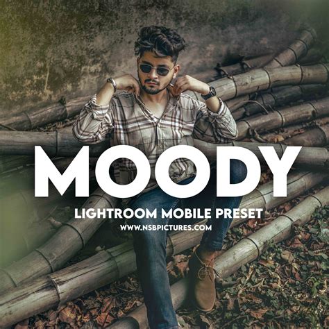 Moody tone Lightroom mobile Preset DNG Free download NSB Pictures ...