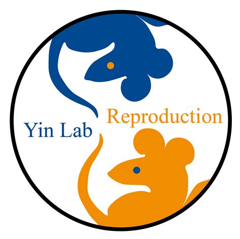 Lab 26 Logo 的图像结果