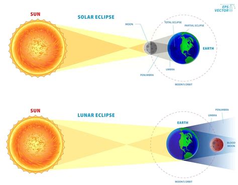 Sun path diagram Vectors - Download Free High-Quality Vectors from ...