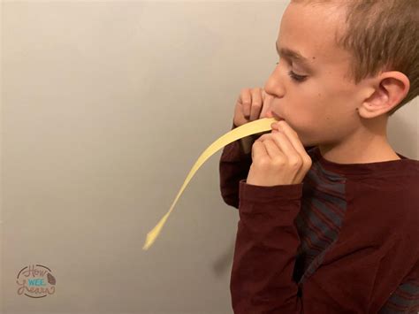 Image result for How Does Flight Work