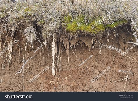 Earth Dirt 的图像结果