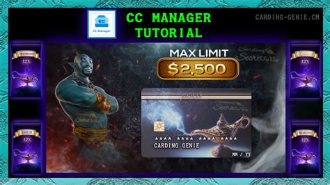 Image result for CC Carding Tutorial