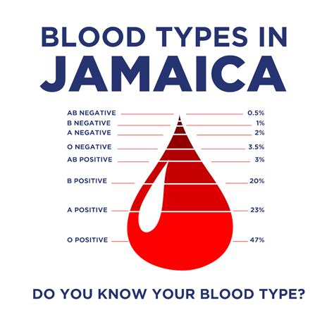 O Negative Blood Type