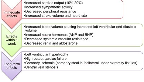 High-Output Cardiac Failure and Coronary Steal With an Arteriovenous ...