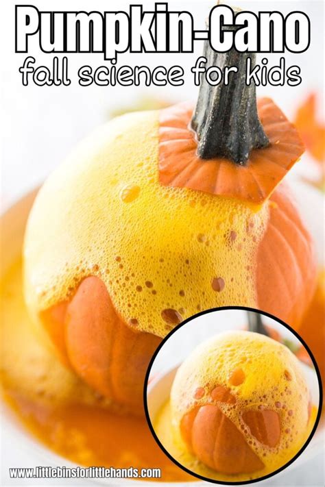 Volcano Science Project Ideas 的图像结果