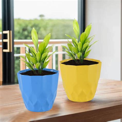Plant Containers & Pots Online at Best Prices on Flipkart