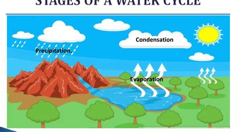 Stormwater Basics 的图像结果