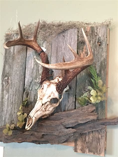 DIY Deer Skull Wall Mount