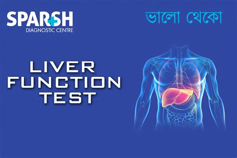 Fatty Liver: Causes & Symptoms - Sparsh Diagnostic Center