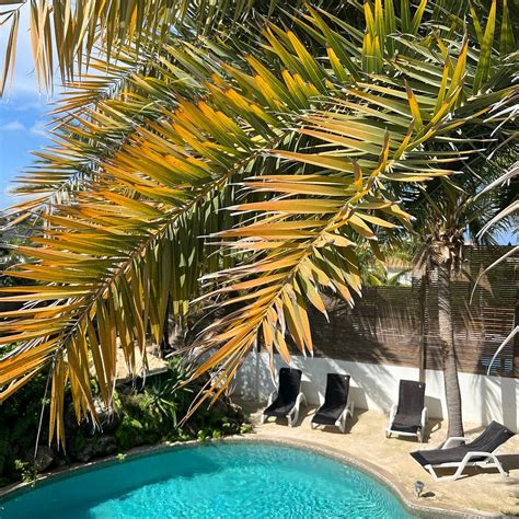 BED & BREAKFAST CURACAO (Curaçao/Willemstad) - B&B Reviews, Photos ...