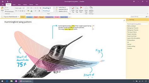 Image result for OneNote App vs OneNote for Windows 10