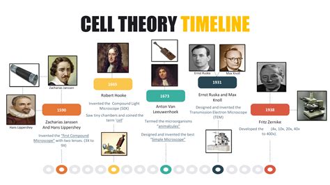 Cell Theory Timeline 1673