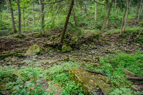 Privacy Policy | U.S. Department of Education Vector Art