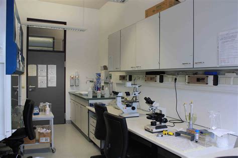 Cell Room Lab Design 的图像结果