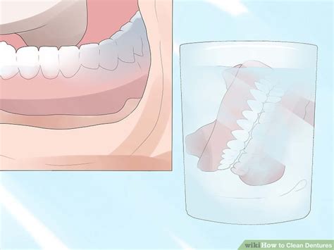 Image result for How to Clean Dentures PDF