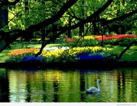 Bing Spring Wallpaper 的图像结果