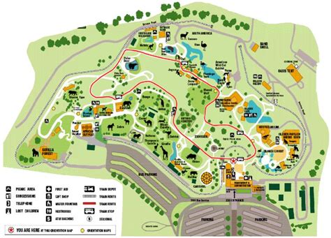 ZooLex Image - Overview