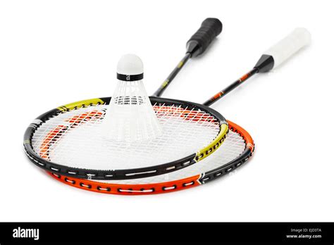 Badminton Racket and Shuttle 的图像结果