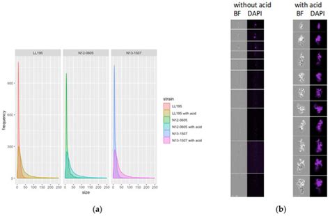 Microorganisms | October 2019 - Browse Articles