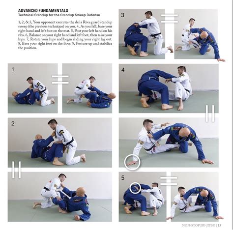 Jiu Jitsu Techniques Pdf