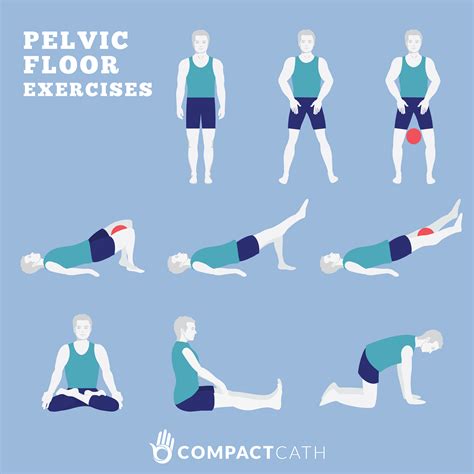 Pin by DzynOwl on INFOGRAPHICS & ILLUSTRATIONS | Pelvic floor, Pelvic ...