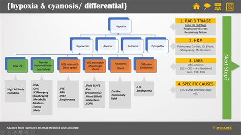 Image result for Java Primitive Types