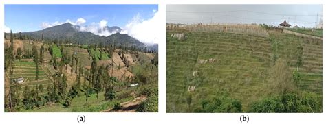 Does Agroforestry Adoption Affect Subjective Well-Being? Empirical ...