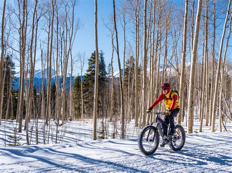 ELECTRIC FAT TIRE E-BIKE | Redefine Your Cycling Experience – Borealis ...