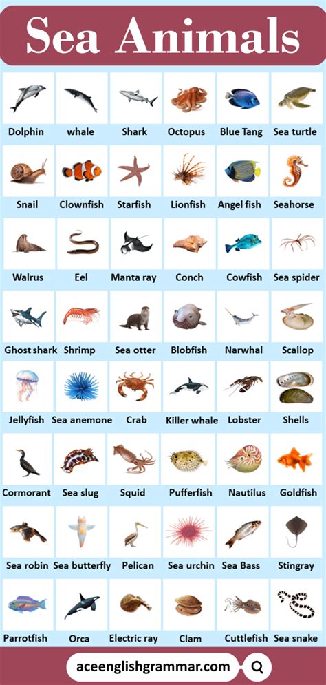 Image result for Water Reflection Photoshop Tutorial