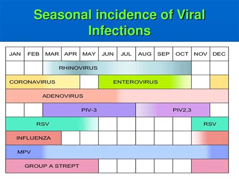 PPT - Parainfluenza virus PowerPoint Presentation, free download - ID:7791