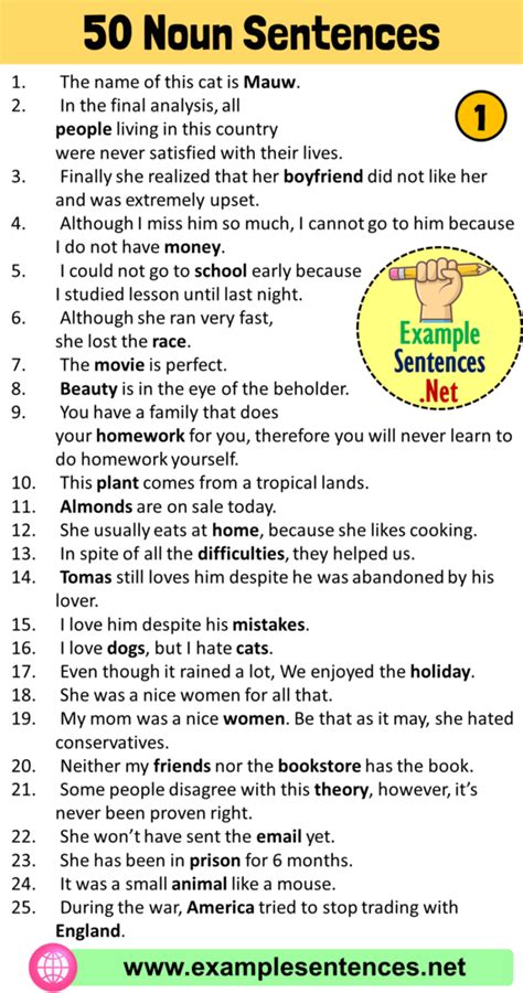 50 Examples of Noun Sentences, Noun Sentences Examples - Example Sentences
