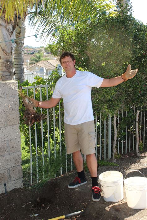 Proper Brick Oven - Mattone Barile - BrickWood Ovens