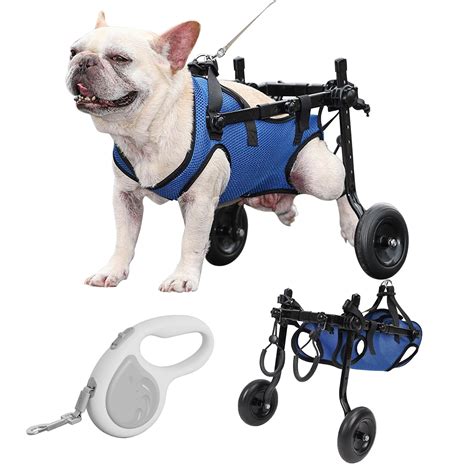 Amazon.com : Dog Wheelchair for Back Legs with Pet Traction Rope, Small ...