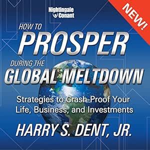 How to Prosper in the Global Meltdown: Strategies to Crash-Proof Your ...