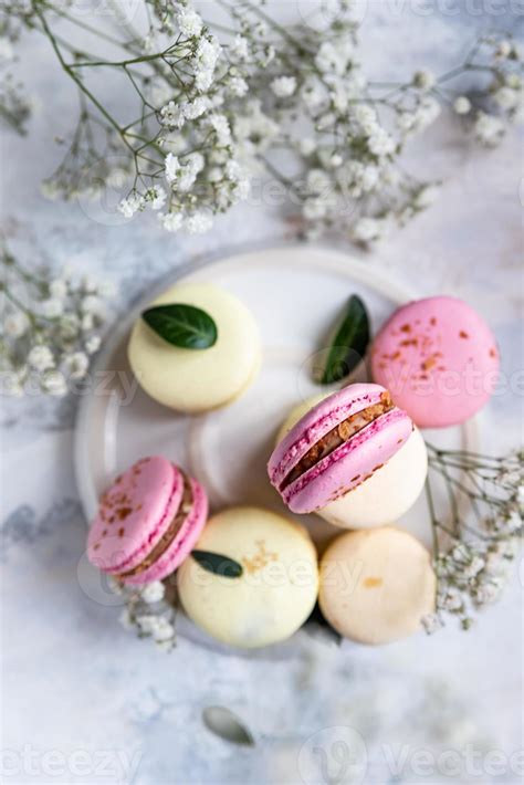 Macaron or macaroon with gypsophila flowers on grey background. Pastel ...