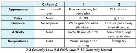 Image result for Apgar Score Example