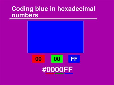 Image result for Div Tags Examples