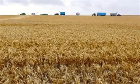 Local Sustainable Development 的图像结果