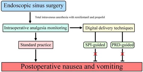 Postoperative Nausea and Vomiting following Endoscopic Sinus Surgery under the Guidance of ...