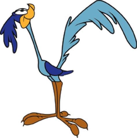 Road Runner Cartoon Drawing 的图像结果
