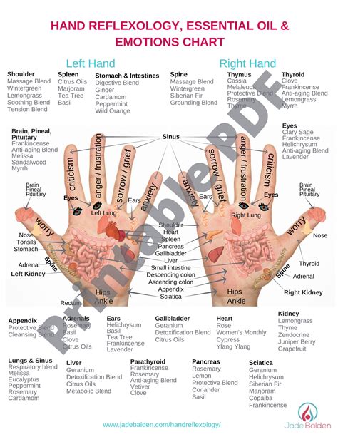 Printable Hand Reflexology Chart – XYBAC