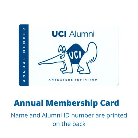 Bachelor's UC Irvine Spirit Package - UCI Cap and Gown